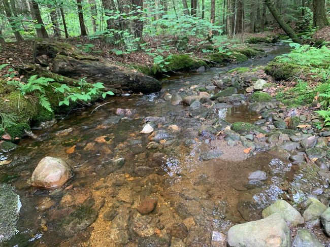 1680 W Hill Dr, Home with 0 bedrooms, 0 bathrooms and null parking in Readsboro VT | Image 21