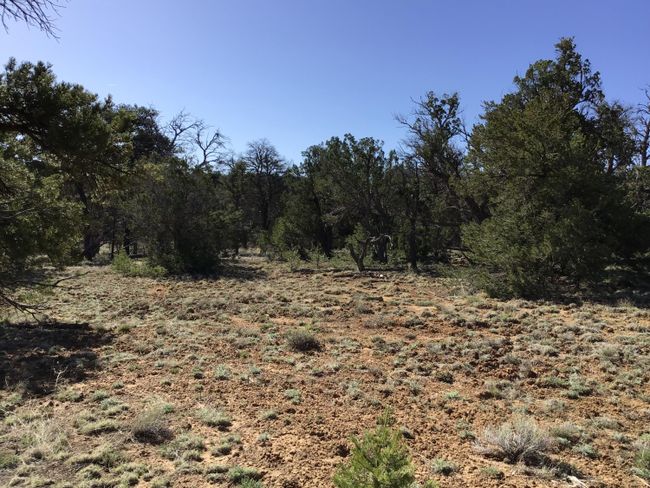 Lot 7 Red Fox Road, Home with 0 bedrooms, 0 bathrooms and null parking in Ramah NM | Image 28