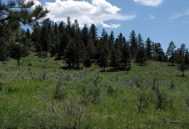 SC-25 - TBD Lone Rock Canyon Lane, Home with 0 bedrooms, 0 bathrooms and null parking in Hysham MT | Image 35