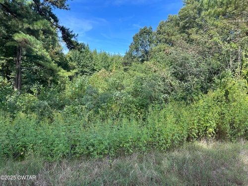 00 Post Rd, Stanton, TN, 38069 | Card Image