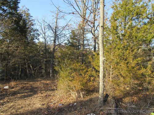 0 Hicks St Eufaula Sportsman, Longtown, OK, 74432 | Card Image