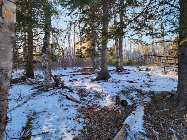 XX-2 Hoaglund Dr, Home with 0 bedrooms, 0 bathrooms and null parking in Tofte MN | Image 12