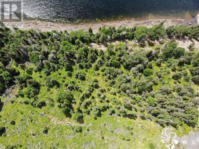 LOT 16 Random Brook Road, Home with 0 bedrooms, 0 bathrooms and null parking in RANDOM ISLAND NL | Image 6