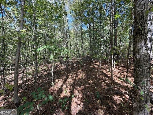 41-42-and-43-0 Cheryl St, Luthersville, GA, 30251 | Card Image