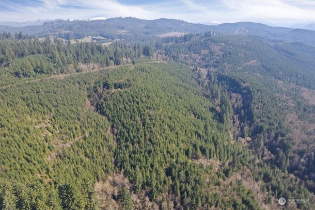 0 Ne Cedar Mist Rd, Home with 0 bedrooms, 0 bathrooms and null parking in AMBOY WA | Image 7