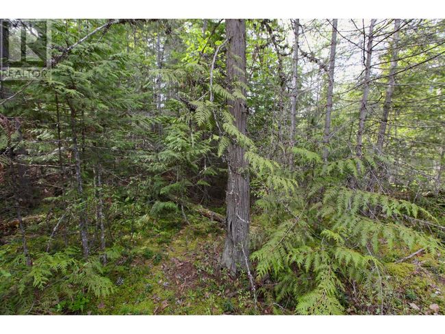 434 Lexington Ave, Home with 0 bedrooms, 0 bathrooms and null parking in Procter BC | Image 45