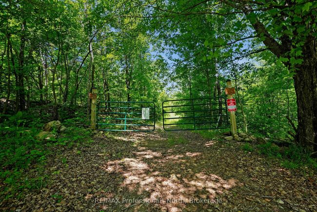 1134 Walker Line Rd, Home with 0 bedrooms, 0 bathrooms and null parking in Algonquin Highlands ON | Image 4