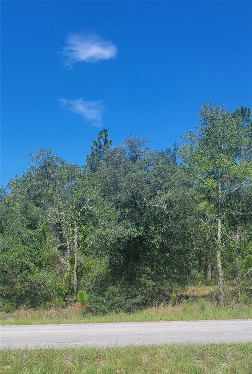 0 Sw Big Bear Rdg, Dunnellon, FL, 34431 | Card Image