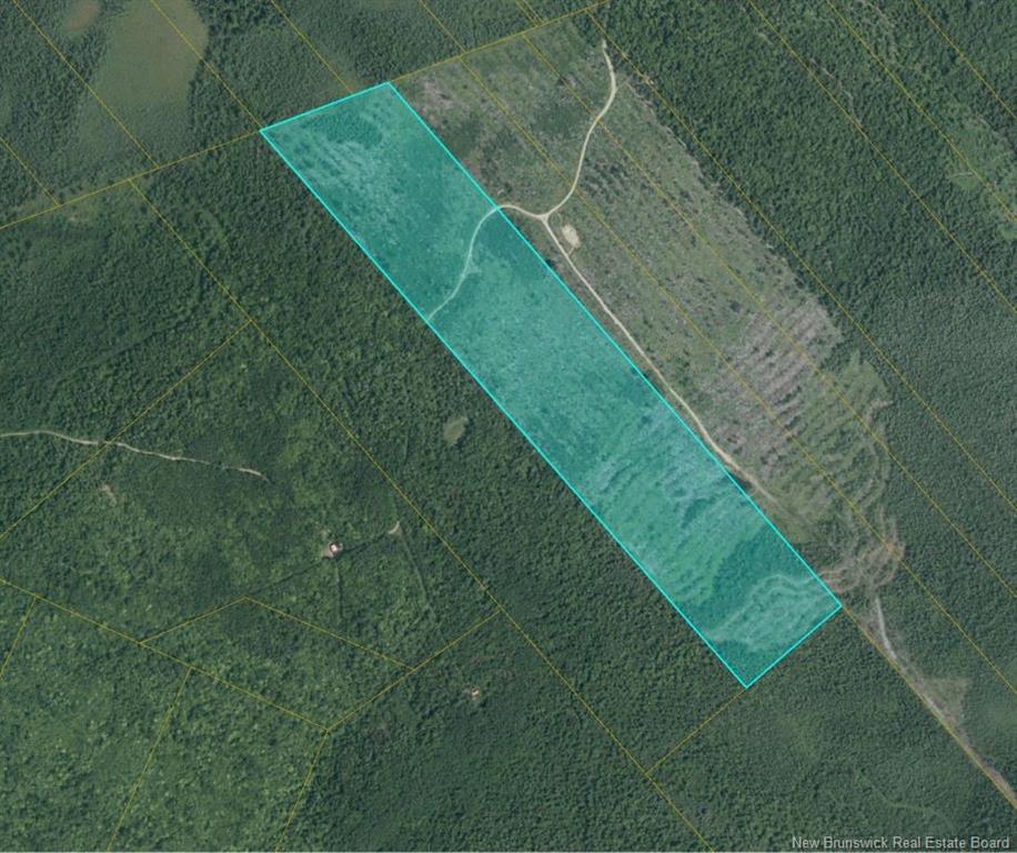 Land in Glenwood