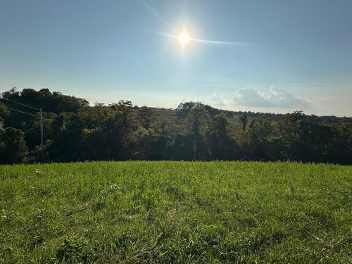 17 Bald Hill Rd, Carlisle, KY, 40311 | Card Image