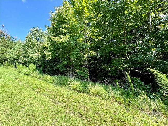 41 - 0 Cedar Ridge Dr, Home with 0 bedrooms, 0 bathrooms and null parking in Nebo NC | Image 4