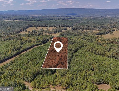 tract-2-0 County Road 235, Leesburg, AL, 35983 | Card Image