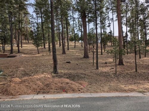 320 White Mountain Meadows Dr, Ruidoso, NM, 88345-5822 | Card Image
