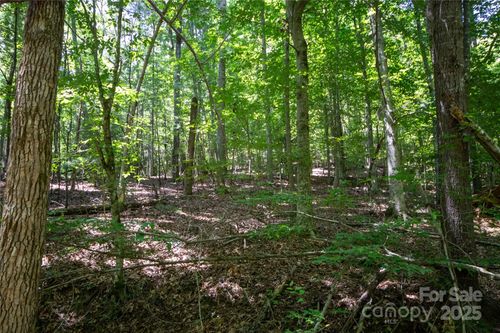 111-LOT 111 Stoney Brook Dr, Lenoir, NC, 28645-9191 | Card Image