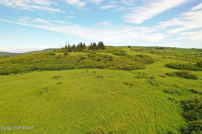 Alaskan Wildwood Ranch(r) P2 (6) | Image 4
