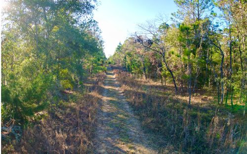 TBD Ne 16th Ln, WILLISTON, FL, 32696 | Card Image