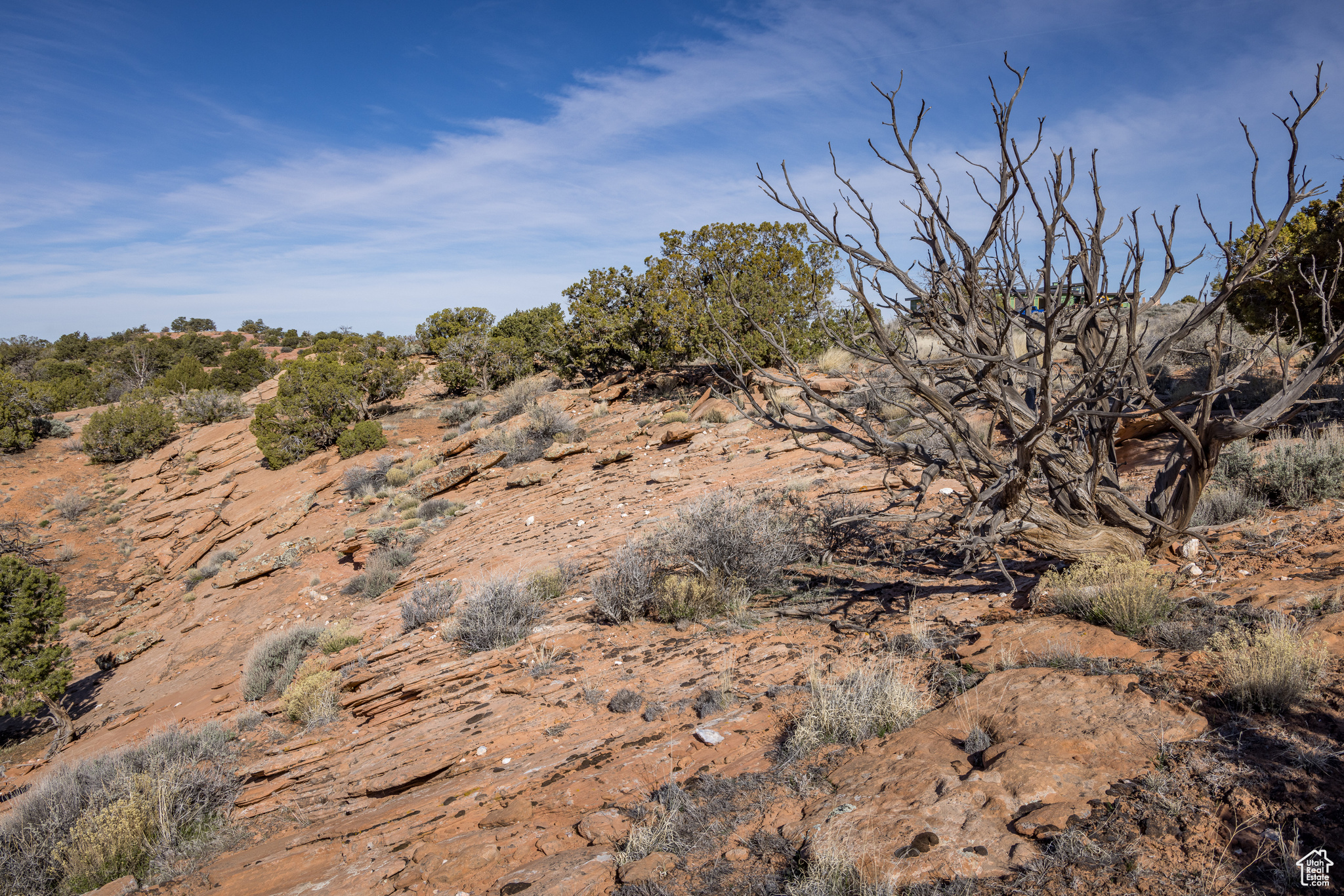 Land in Moab 5