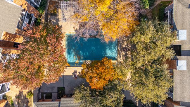 Bird's eye view | Image 15