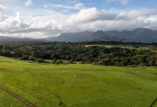 4132 Hihimanu Rd, KILAUEA, HI, 96754 | Card Image