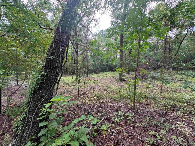 098 Private Road 6010, Home with 0 bedrooms, 0 bathrooms and null parking in Brookeland TX | Image 7