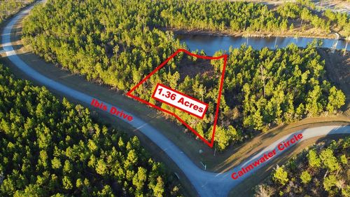 Lot 157 Ibis Dr., Wewahitchka, FL, 32465 | Card Image
