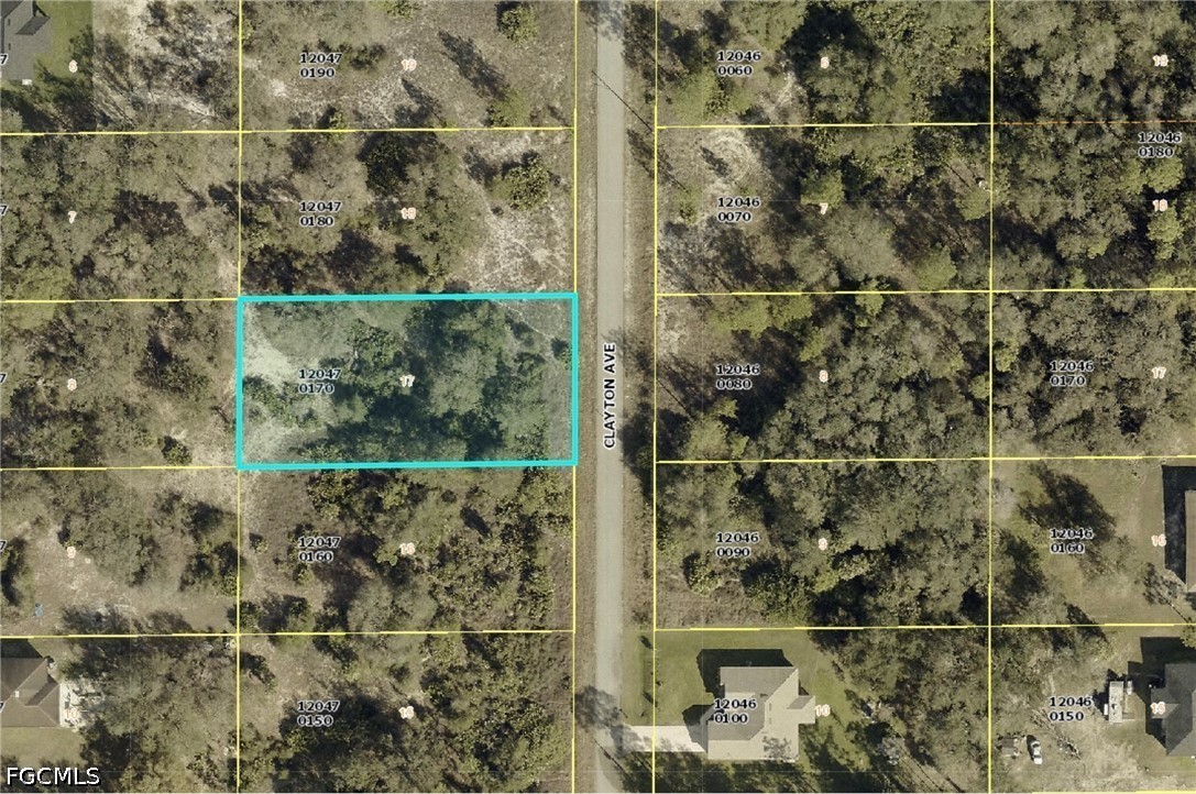 Land in Lehigh Acres 5