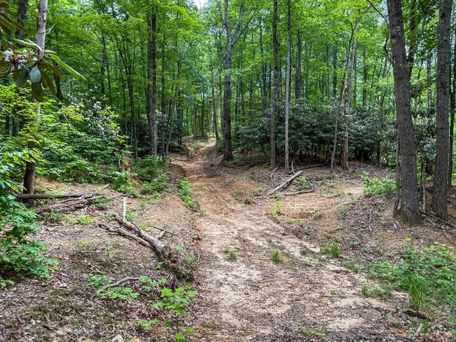 2486 Laurel Fork Rd, Home with 0 bedrooms, 0 bathrooms and null parking in Rocky Gap VA | Image 31