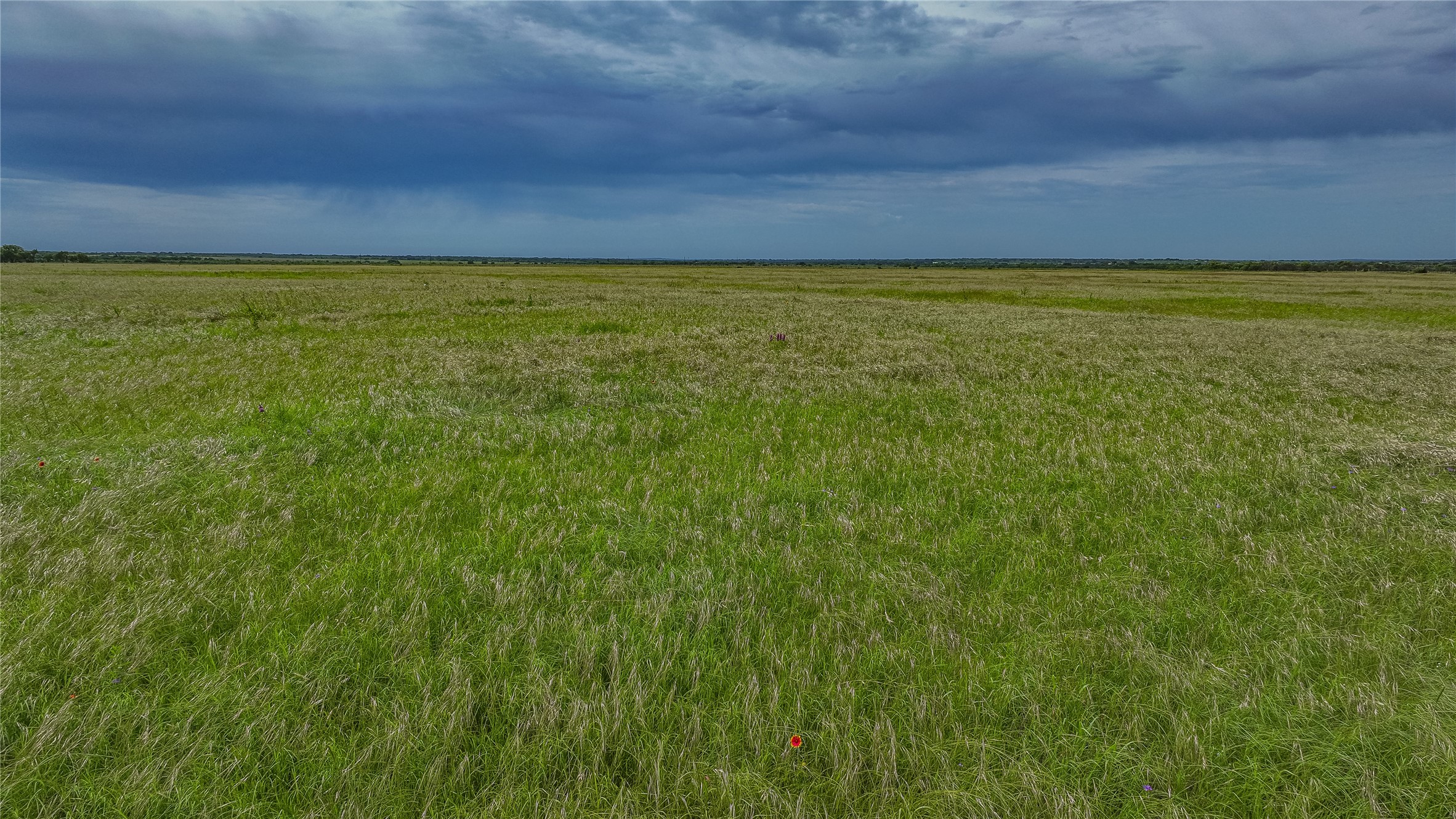 Land in Rochelle 4