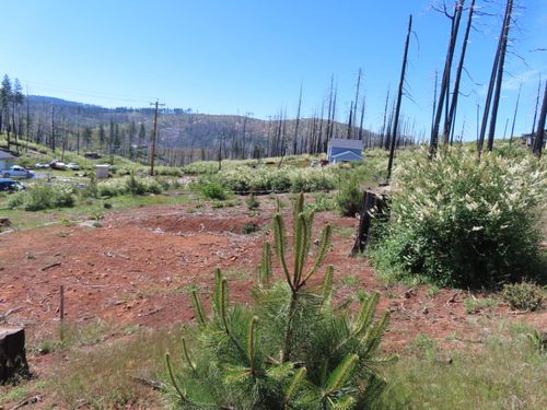 7130 Winding Way, Grizzly Flats, CA, 95636-9788 | Card Image