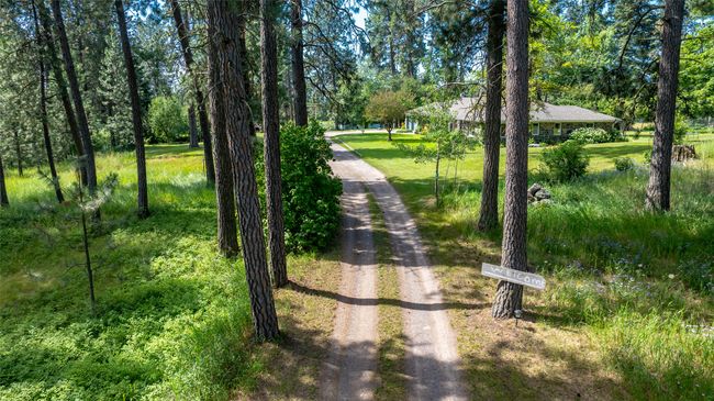 Lot full of mature trees and lots of Ponderosas | Image 43