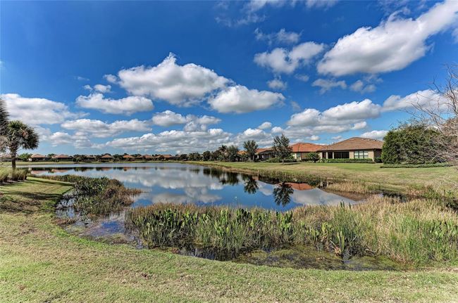 UNIT-104 - 13609 Messina Loop, Condo with 2 bedrooms, 2 bathrooms and null parking in Bradenton FL | Image 91