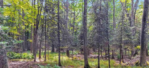 657 Spruce Hill Dr, LA POINTE, WI, 54850 | Card Image