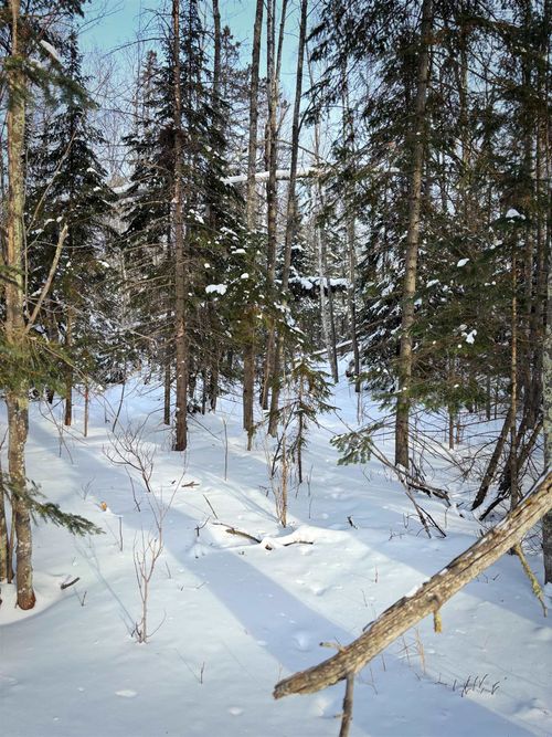 000 Airport Rd, Port Wing, WI, 54865 | Card Image