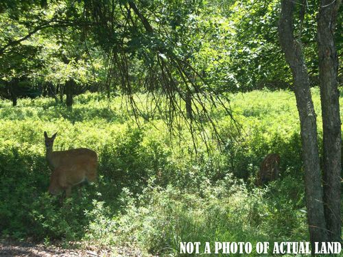 B152 Sandalwood Road, Albrightsville, PA, 18210 | Card Image