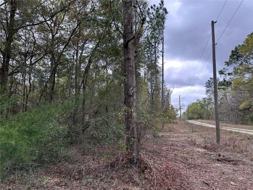 481 Ne 154th Ter, WILLISTON, FL, 32696 | Card Image