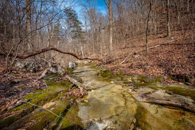 00 Bear Skin Dr, Home with 0 bedrooms, 0 bathrooms and null parking in Harriet AR | Image 45
