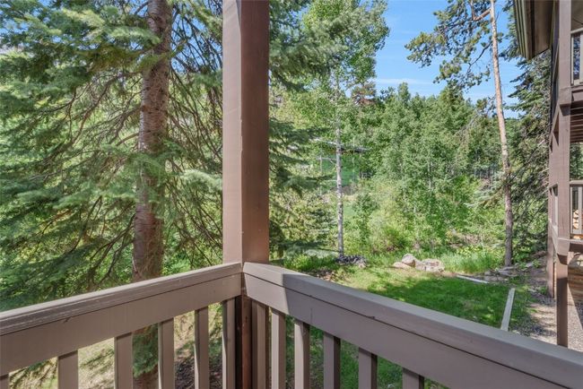 UNIT-102 - 2617 Burgess Creek Rd, Townhouse with 2 bedrooms, 3 bathrooms and null parking in Steamboat Springs CO | Image 5