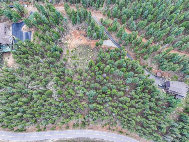11275 Bear Run Trl, Home with 0 bedrooms, 0 bathrooms and null parking in Conifer CO | Image 6