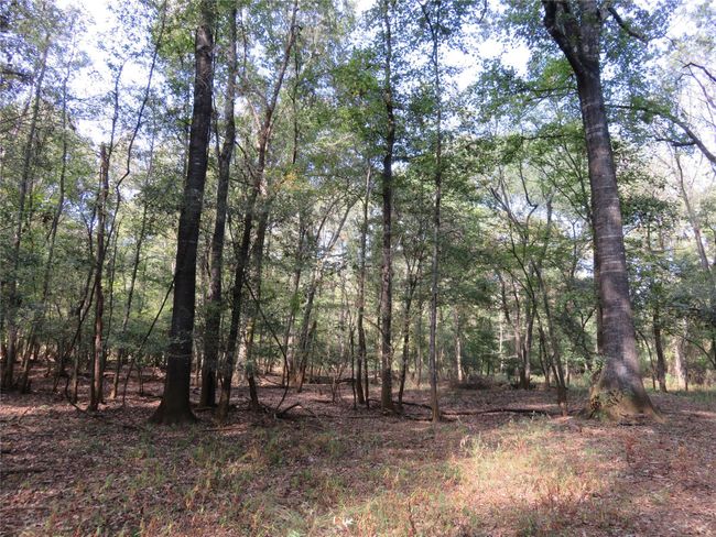 9795 S Us Highway 59, Home with 0 bedrooms, 0 bathrooms and null parking in Nacogdoches TX | Image 12