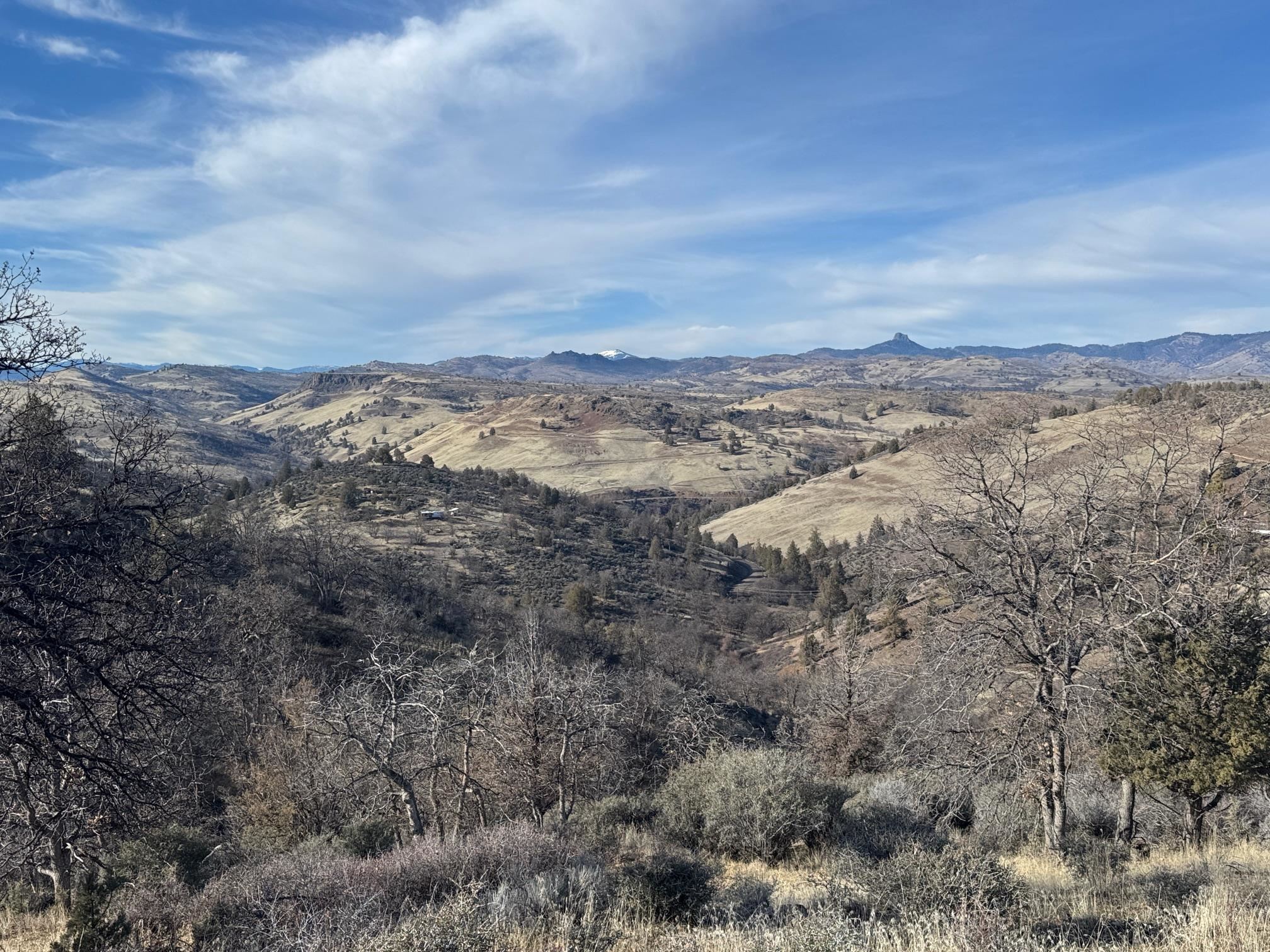 Land in Montague 4