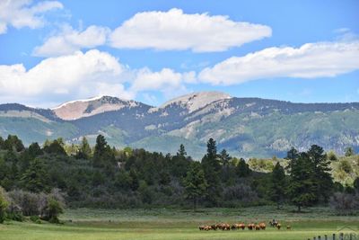 1652 County Rd 139, House other with 4 bedrooms, 2 bathrooms and 4 parking in Mancos CO | Image 3