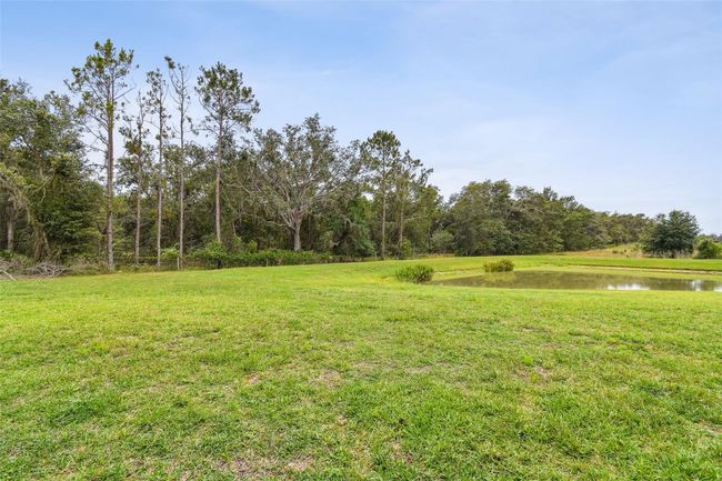 10701 Morning Dew Way, House other with 7 bedrooms, 6 bathrooms and null parking in TAMPA FL | Image 41