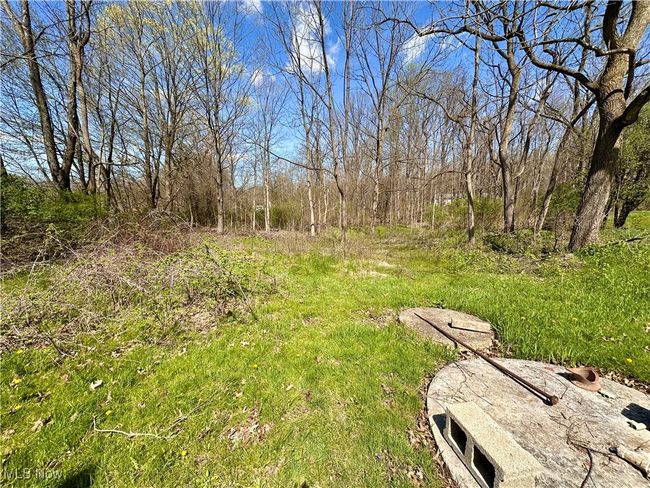 View of yard | Image 38