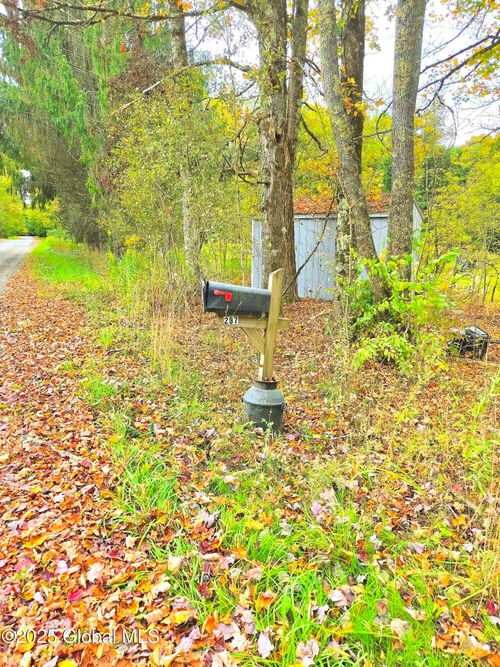 287 W Hill Rd, Morris, NY, 13808-2158 | Card Image