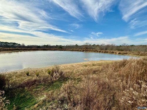 36 AC Brown Rd, Boaz, AL, 35957 | Card Image