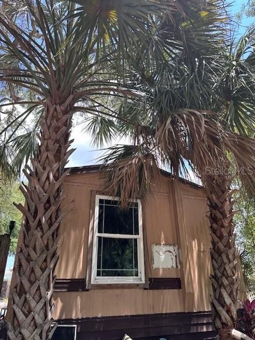 6631 Celeste Ln, NEW PORT RICHEY, FL, 34653-1842 | Card Image
