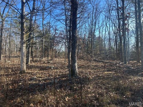 301 Madison St, Fredericktown, MO, 63645-7416 | Card Image