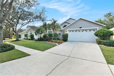 18914 Bellflower Road, House other with 3 bedrooms, 2 bathrooms and null parking in Tampa FL | Image 2