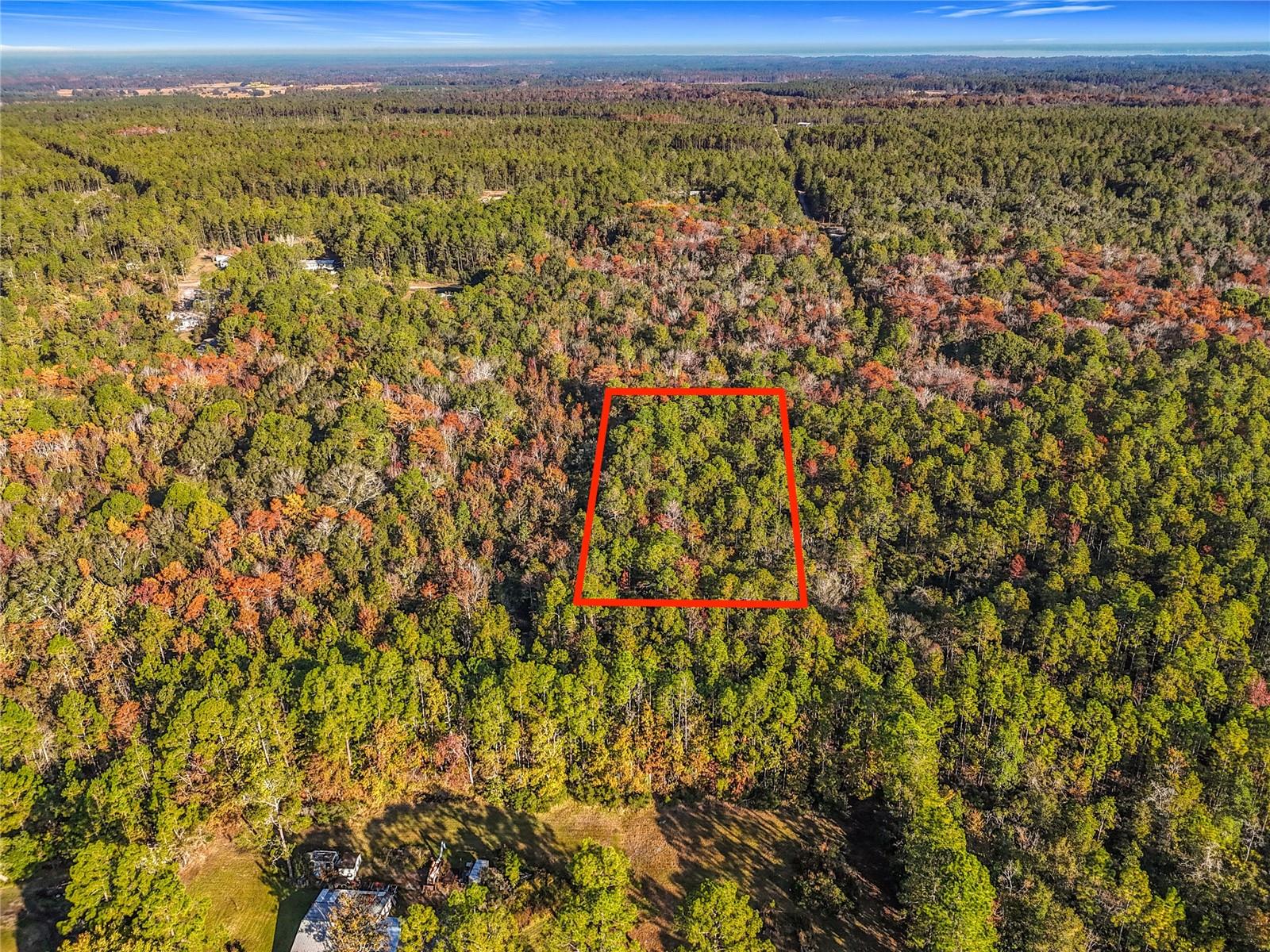 Land in PALATKA 3