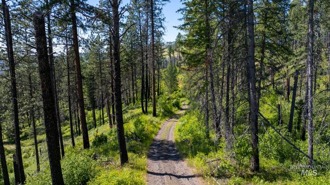 0 Forest Garden Ln, Home with 0 bedrooms, 0 bathrooms and null parking in Weippe ID | Image 6